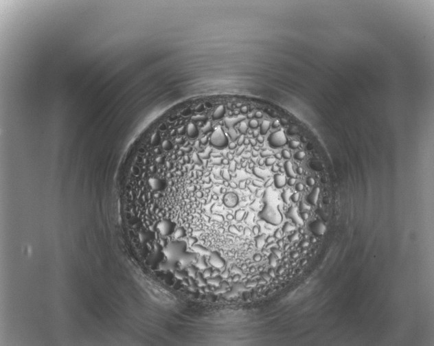 X0000062840925200601171441