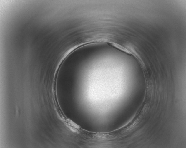 X0000062840956200601171442