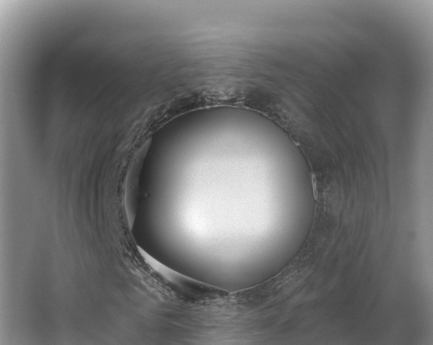 X0000062840961200601171441