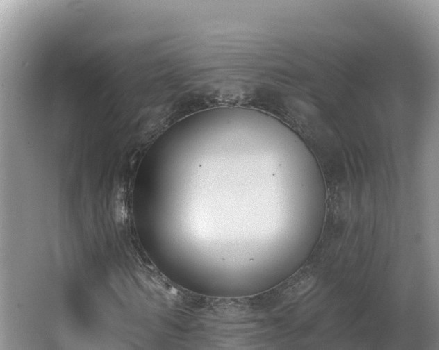 X0000062840962200601171441