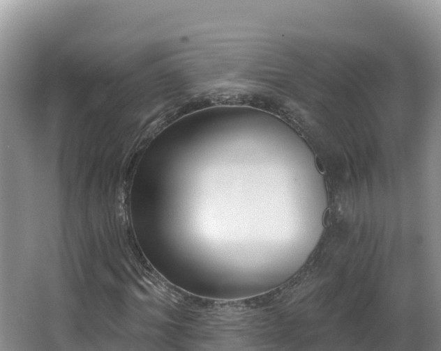X0000062840964200601171441