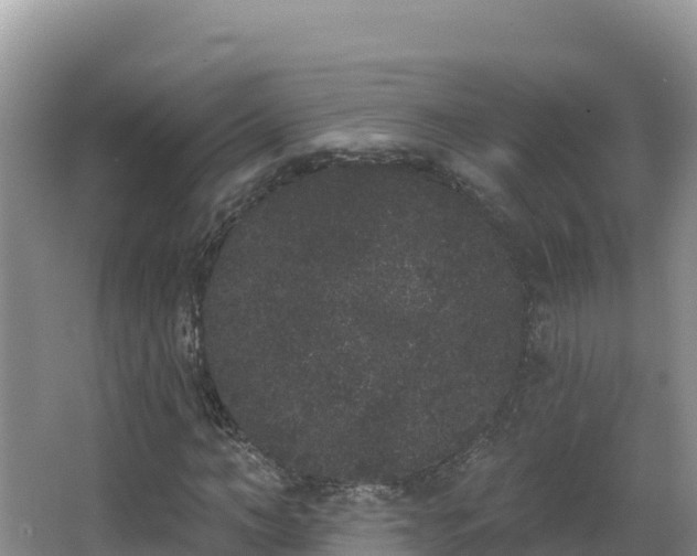 X0000062840966200601171441