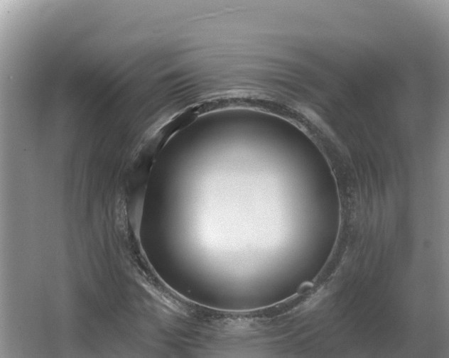 X0000062840969200601171441