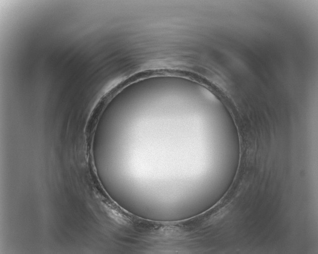 X0000062840974200601171441