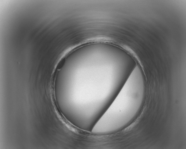 X0000062840989200601171441