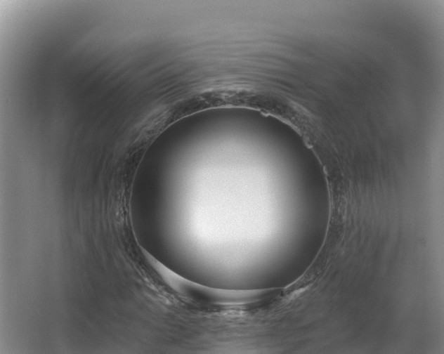 X0000062841014200601171439