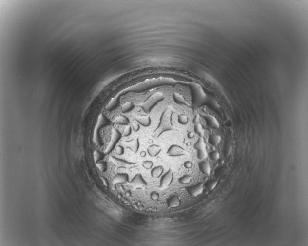 X0000062841019200601171440