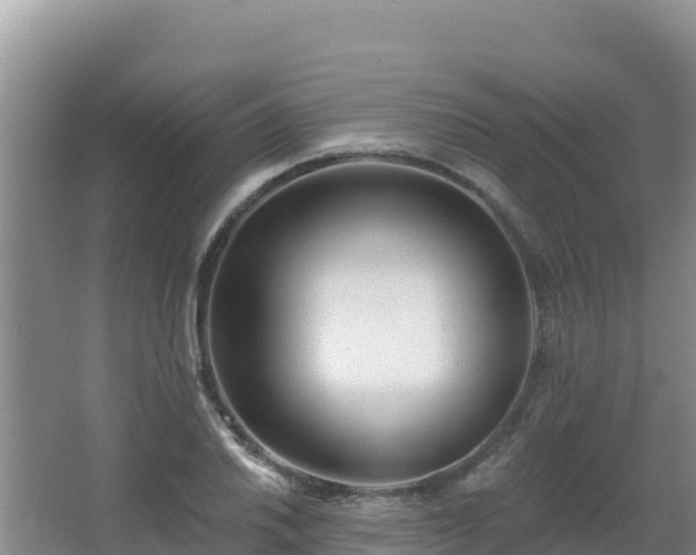 X0000062841030200601171440
