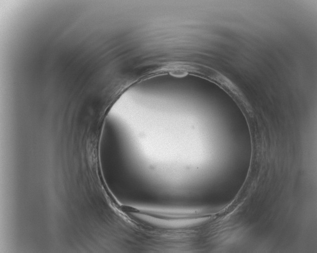 X0000062841049200601171440