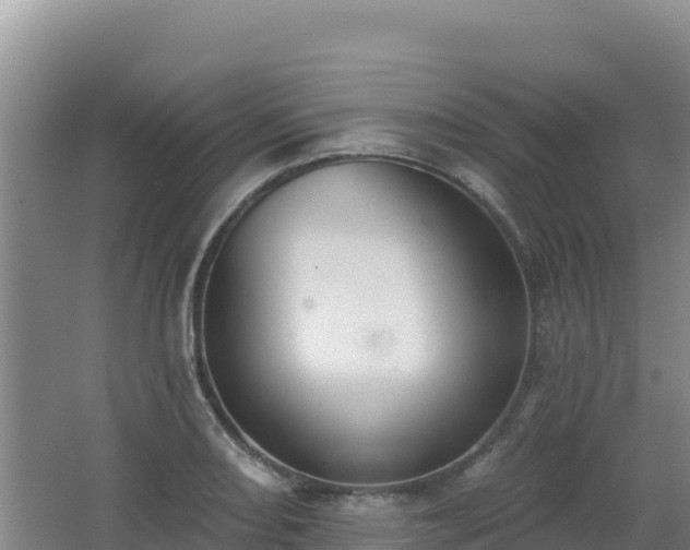 X0000062841082200601171439