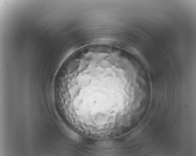 X0000062841083200601171439
