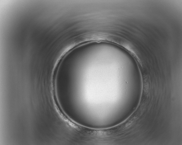 X0000062841088200601171439