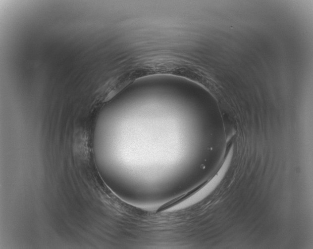 X0000062841108200601171438