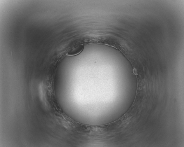 X0000062841109200601171438