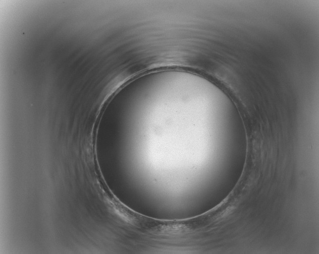 X0000062841129200601171438
