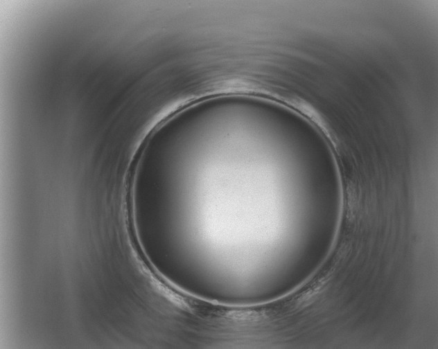 X0000062841142200601171438