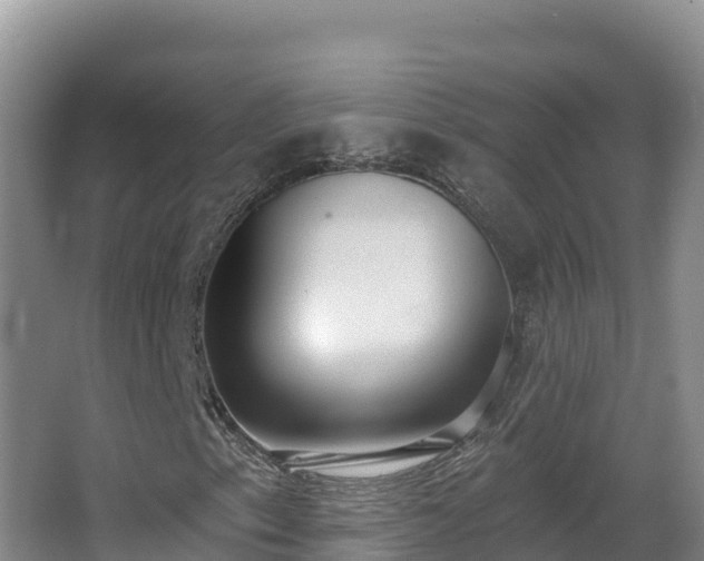 X0000062841153200601171438