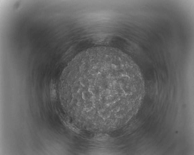 X0000062841154200601171438