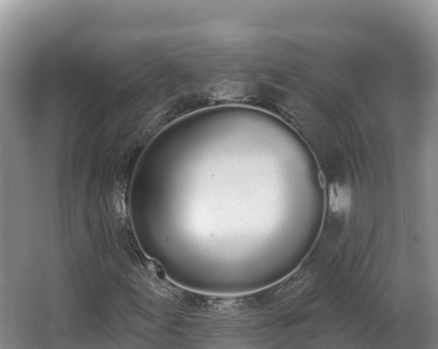 X0000062841155200601171438