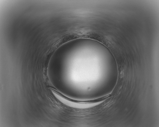 X0000062841156200601171438