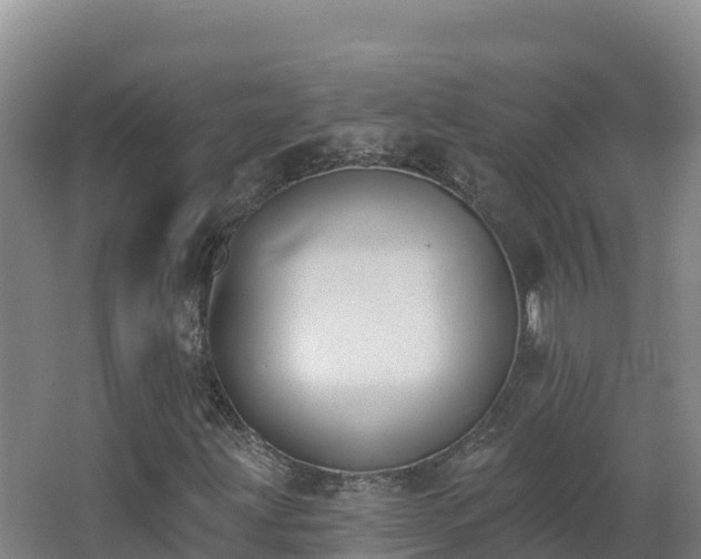 X0000062841203200601171436