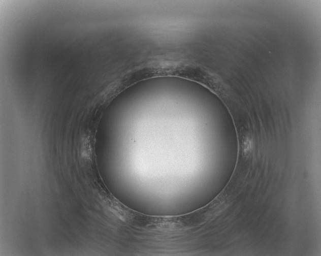 X0000062841204200601171436