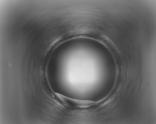 X0000062841210200601171436