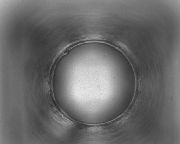 X0000062841212200601171436