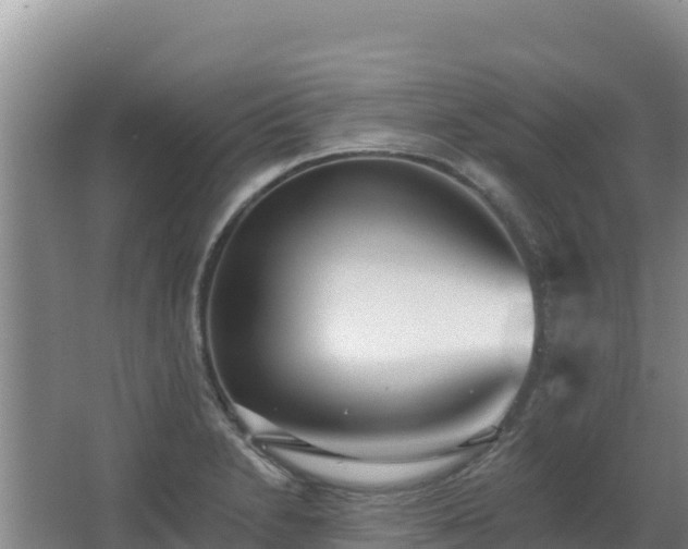 X0000062841230200601171437