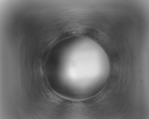 X0000062841250200601171436