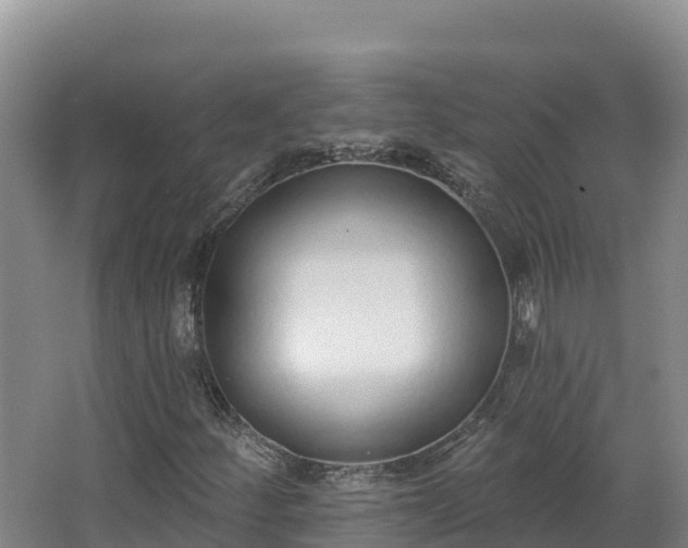 X0000062841252200601171436
