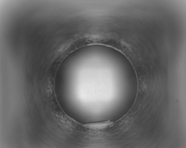 X0000062841253200601171436