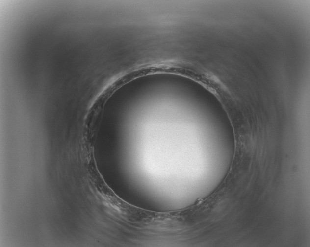 X0000062841256200601171436