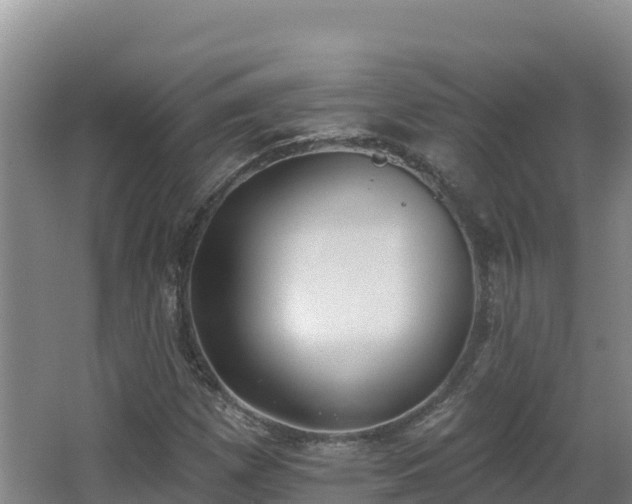X0000062841257200601171436