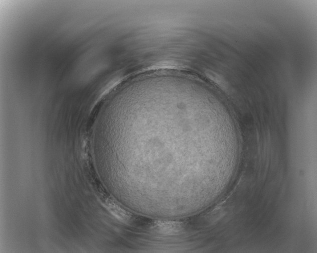 X0000062841258200601171436