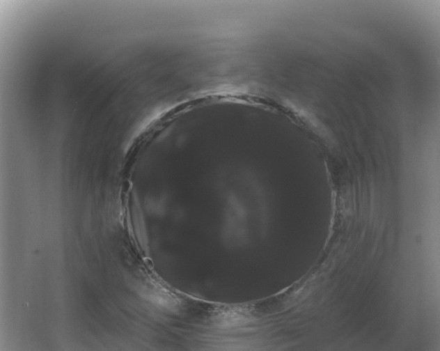 X0000062841262200601171436