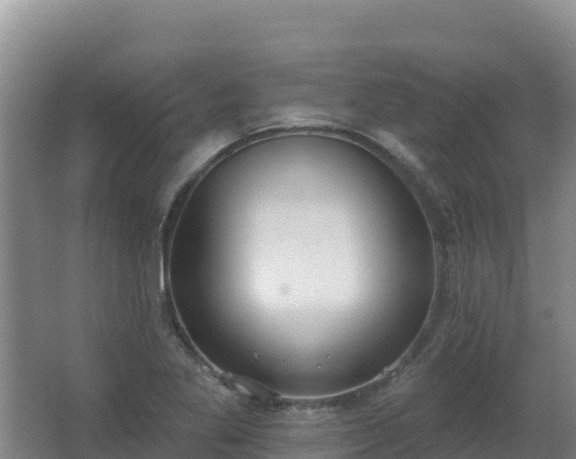 X0000062841269200601171436