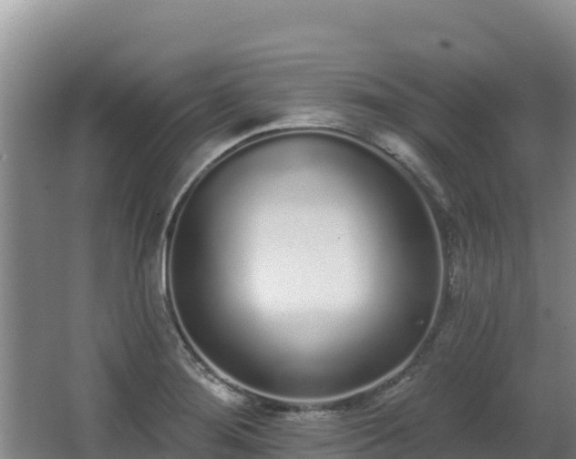 X0000062841276200601171436