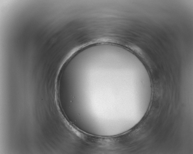 X0000062841286200601171436