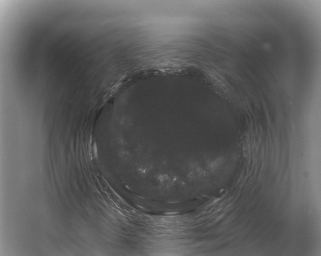 X0000062841298200601171435