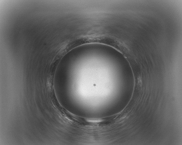 X0000062841300200601171435