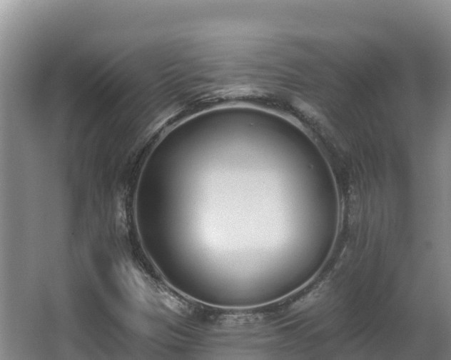 X0000062841305200601171435