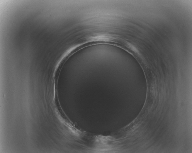 X0000062841323200601171435