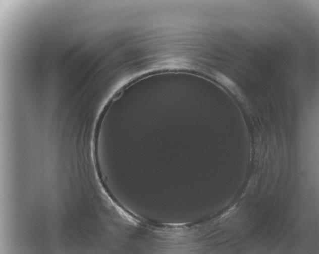 X0000062841334200601171435