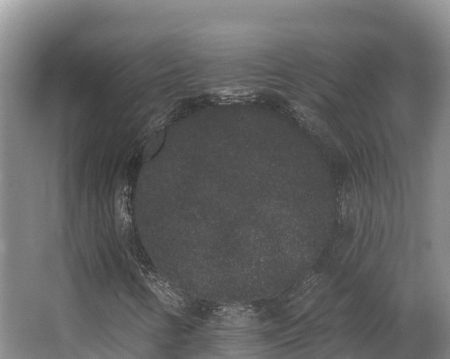 X0000062841346200601171435