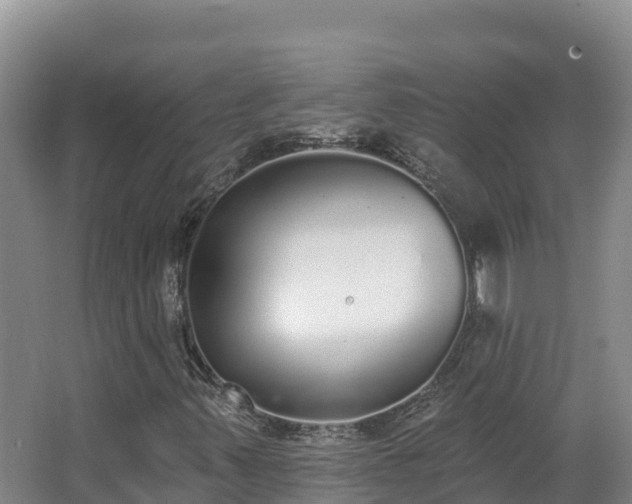X0000062841347200601171435