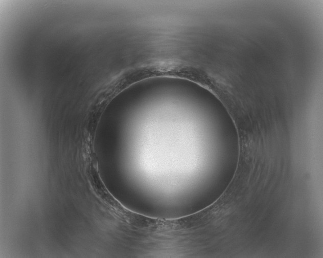 X0000062841349200601171434