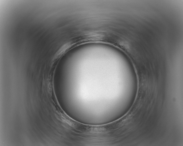 X0000062841354200601171434