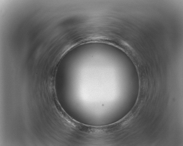X0000062841361200601171434