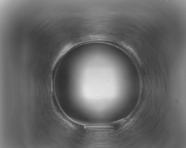 X0000062841365200601171434